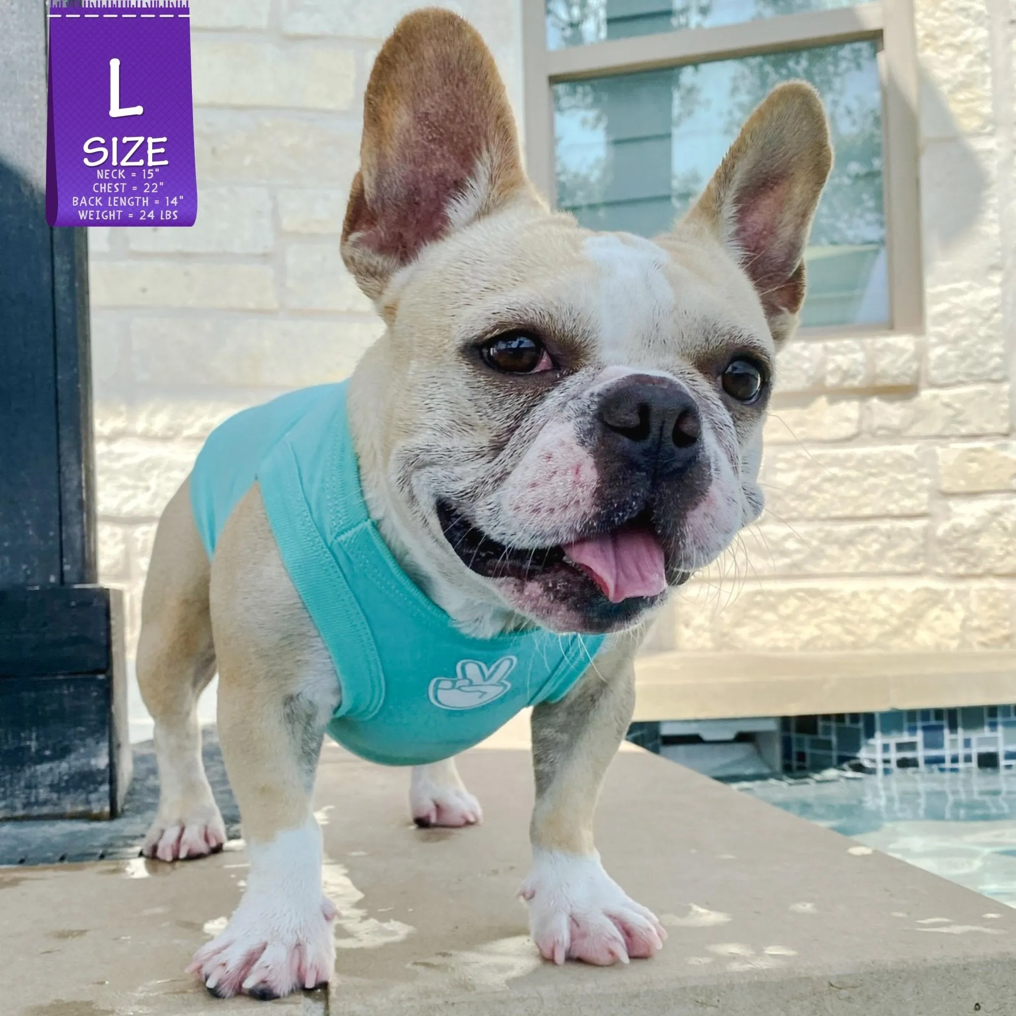 Dog T-Shirt | Good Life