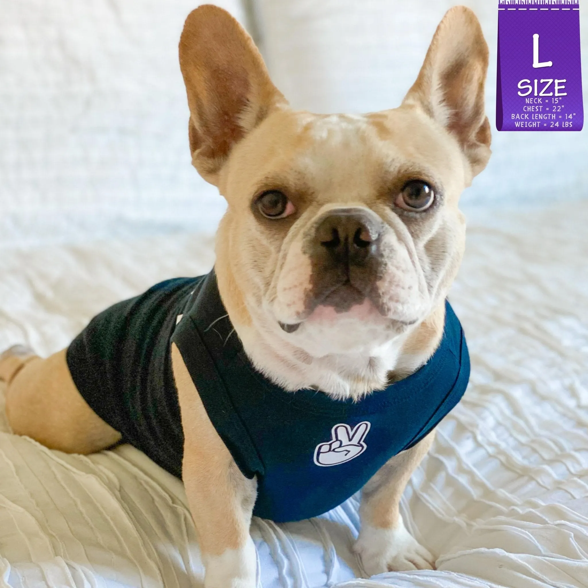 Dog T-Shirt | Good Life