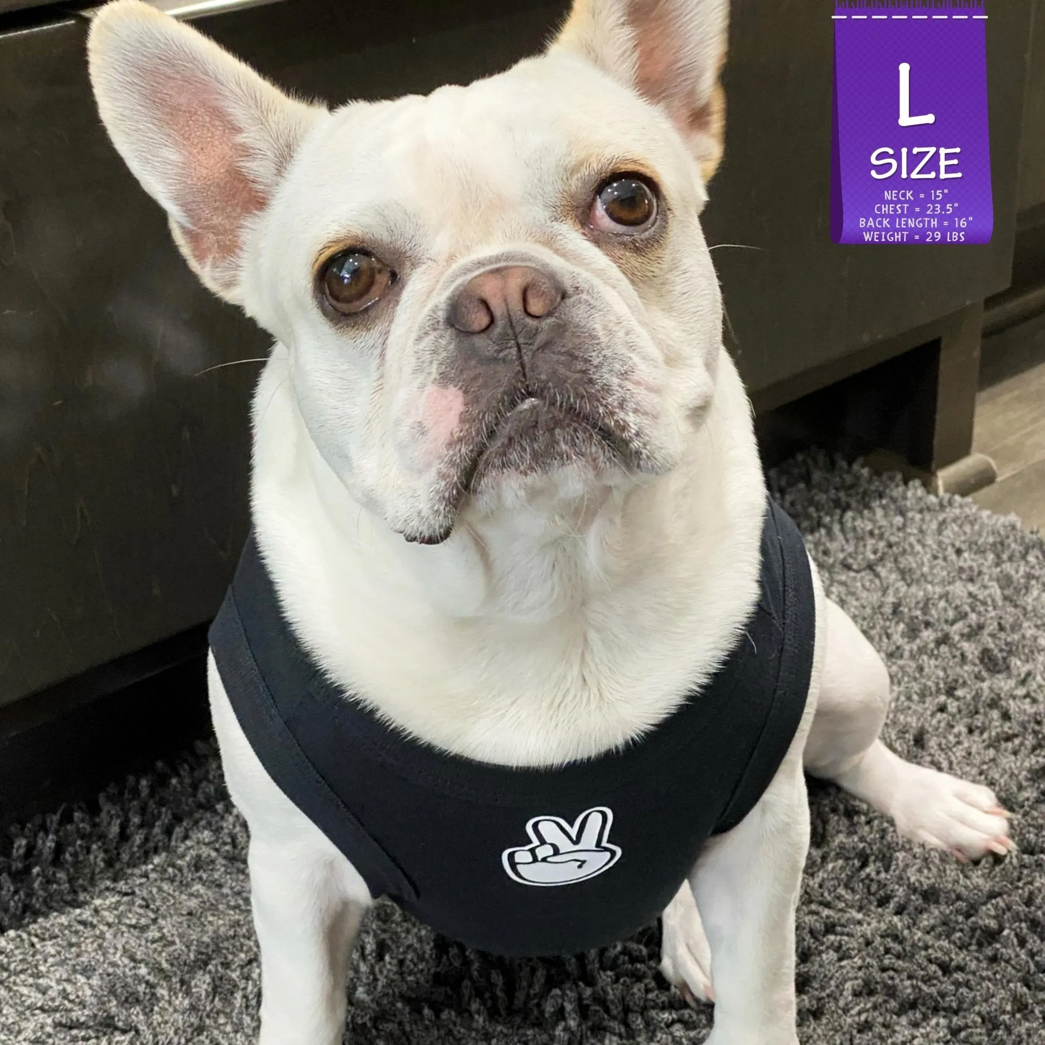 Dog T-Shirt | Good Life